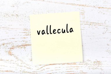 Kelime vallecula ile sarı kağıt. Hatırlatma konsepti