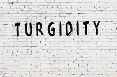 Üzerinde siyah boya yazıtları olan beyaz duvar.