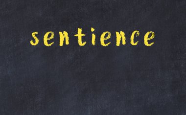 Üzerinde yazı olan siyah karatahta.