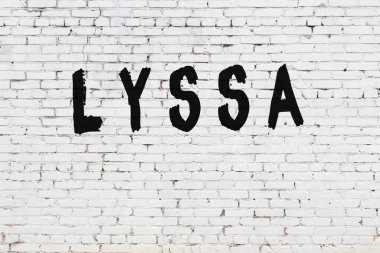 Lyssa 'nın beyaz tuğla duvara çizdiği kelime.