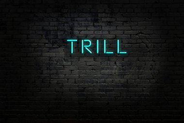 Duvara yazı dizili neon levhası