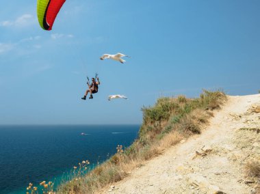 Paraşütçüler üzerinde siyah çilek