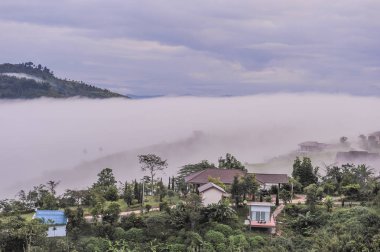 dağlar altında sabah Chiang mai Tayland Kuzey siste