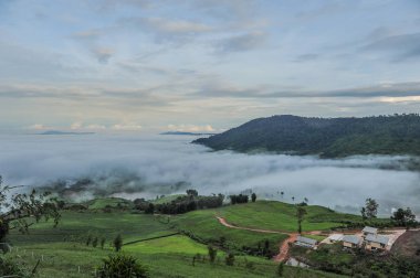 dağlar altında sabah Chiang mai Tayland Kuzey siste