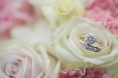 Closeup Gümüş Alyans Pırlanta gül, Dof odak üzerinde