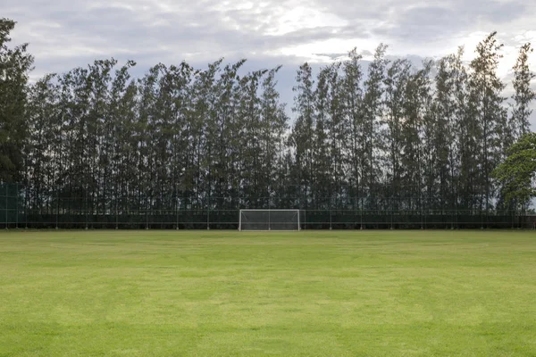 soccer field grass Goal at the stadium Soccer field
