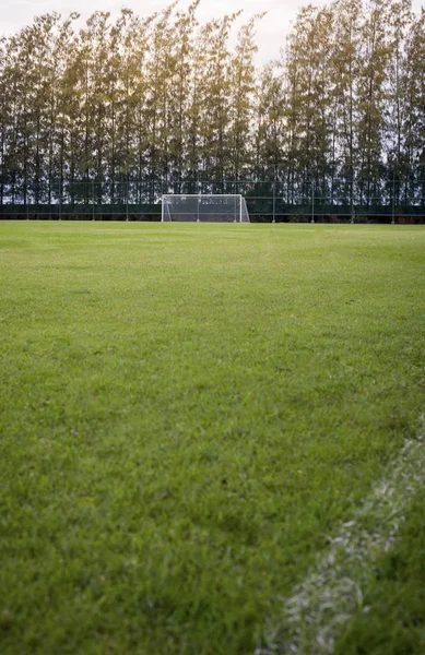Füves területen, foci, focipálya, képzés — Stock Fotó