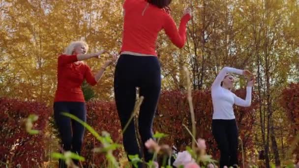 Alacsony látószögű kilátás sportos nők táncolnak együtt a parkban