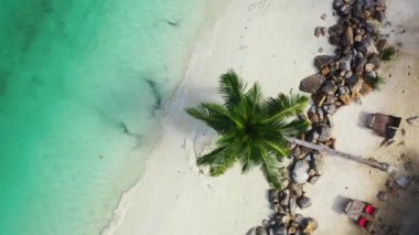 Beyaz kumlu sahildeki sığ ve berrak suyun yakın görüntüsü. Dominik Cumhuriyeti, Karayipler 'in egzotik doğası. 