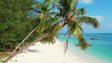 Adadaki yemyeşil ağaçlar. Tayland 'a Seyahat.