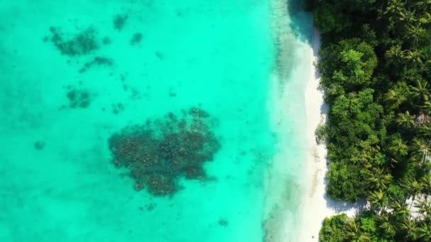 Draufsicht Auf Transparentes Grünes Flachwasser Der Küste Natürlicher Hintergrund Von — Stockvideo