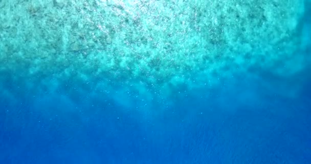 Parte Inferior Con Robles Vistas Través Agua Mar Transparente Viaje — Vídeos de Stock