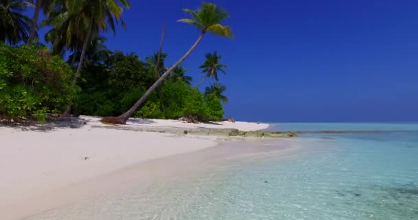 Palmeiras Verdes Costa Viagem Verão República Dominicana Caribe — Vídeo de Stock