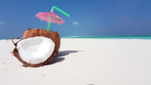 Coco Com Palha Praia Viajar Para Indonésia — Vídeo de Stock