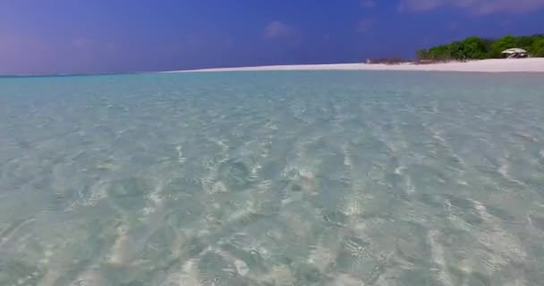 Береговая Линия Кристальной Водой Отдых Бали — стоковое видео