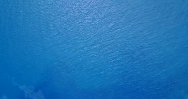 海の水の自然の背景をリップリング ボラのエキゾチックな自然 フランス領ポリネシア — ストック動画