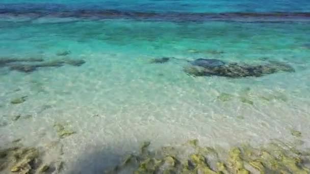 Ripplande Havet Naturlig Bakgrund Exotisk Karaktär Dominikanska Republiken Karibien — Stockvideo
