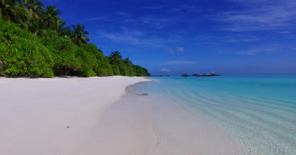 晴れた海岸線の景色 バリ島の自然景観 インドネシア — ストック動画