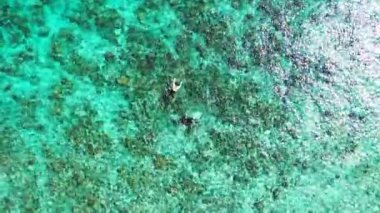 Şeffaf turkuaz deniz suyu. Bora Bora 'da tropik cennet, Fransız Polinezyası..