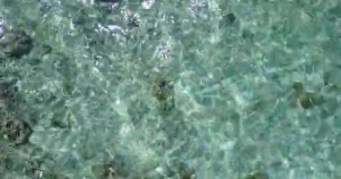 Dalgalanan deniz dalgalarına bakıyorum. Endonezya, Bali 'de tatil sezonu.