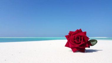 Bora Bora 'nın egzotik doğası, Fransız Polinezyası. 