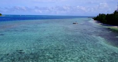 Deniz doğası. Endonezya, Bali 'ye Seyahat.