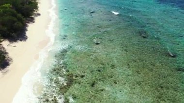 Şeffaf denizden aşağıya baktık. Bali 'nin tropikal doğası.