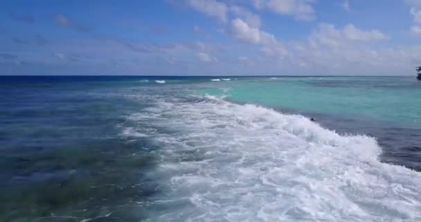 Temiz Şeffaf Sığ Suyun Yakın Görüntüsü Dominik Cumhuriyeti Karayipler Güneşli — Stok video