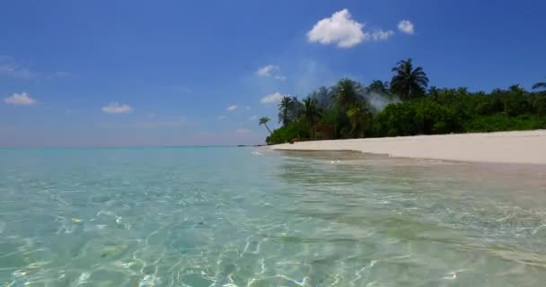 Línea Costa Con Agua Clara Vacaciones Exóticas Maldivas Asia Del — Vídeo de stock