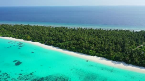 活泼的绿松石海景 巴厘的海上放松 — 图库视频影像