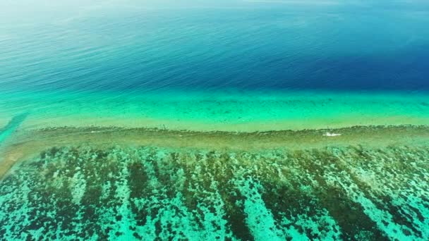 Isola Circondata Vivace Mare Turchese Natura Esotica Della Repubblica Dominicana — Video Stock