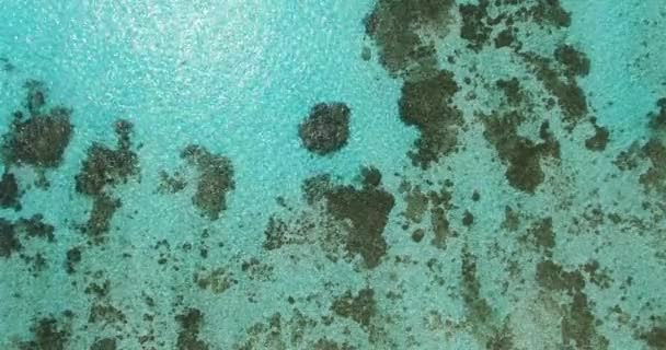 海底透过透明的大海观看 法属波利尼西亚波拉博拉的热带天堂 — 图库视频影像
