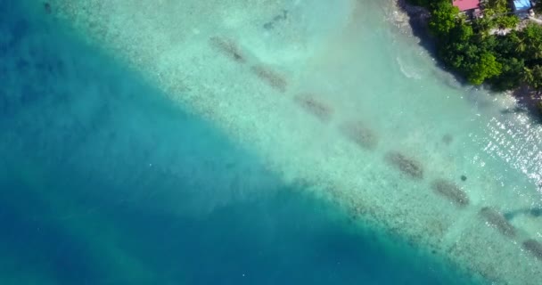 Côtes Ensoleillées Voyage Bora Bora Polynésie Française — Video