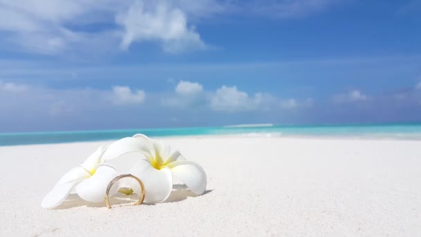 Plumeria Flor Beira Mar Natureza Idílica Indonésia — Vídeo de Stock