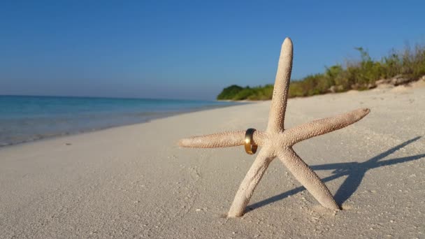 ビーチで黄金のリングで星の貝殻 夏はバリでリラックス — ストック動画