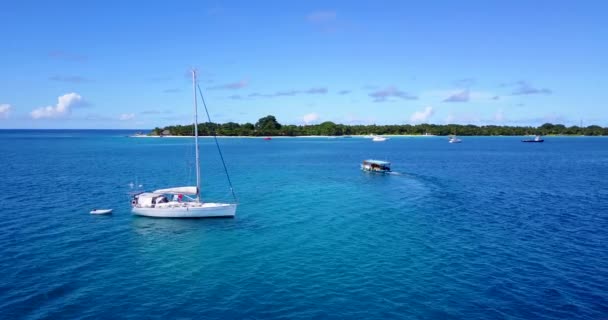 Fondo Costero Diurno Paraíso Tropical Bora Bora Polinesia Francesa — Vídeo de stock