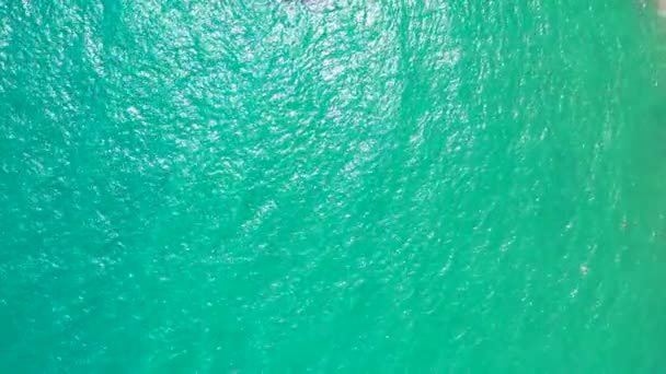 Дивлячись Морські Хвилі Березі Тропічний Рай Бора Бора Французька Полінезія — стокове відео