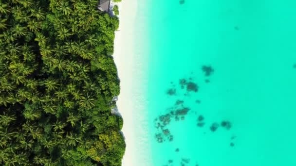 Morska Scena Wybrzeżu Tropikalny Charakter Bali — Wideo stockowe