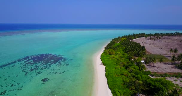 Gündüz Deniz Manzaralı Bali Nin Güneşli Yaz Doğası — Stok video