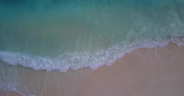 Grunt Vatten Vid Stranden Bali Tropiska Natur — Stockvideo