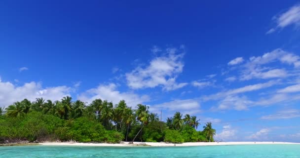 Vista Vicino Del Lato Spiaggia Natura Idilliaca Dell Indonesia — Video Stock