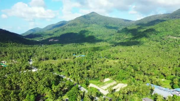 島の緑の山々 インドネシアの牧歌的な自然 — ストック動画