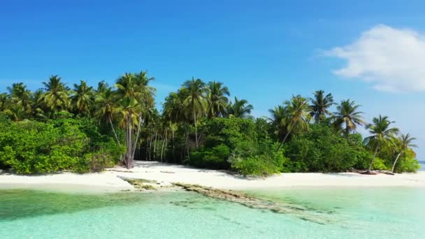 海辺の熱帯の島 バリ島での休暇 — ストック動画