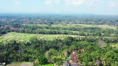 Ubud, Bali, Endonezya 'daki pirinç tarlalarının hava görüntüsü