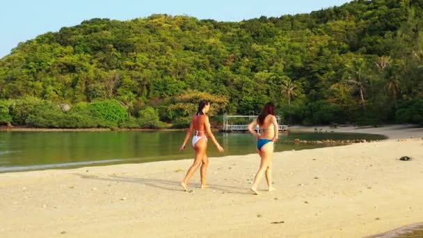 Duas Jovens Amigas Biquíni Andando Costa Mar Dia Sinônimo Mulheres — Vídeo de Stock