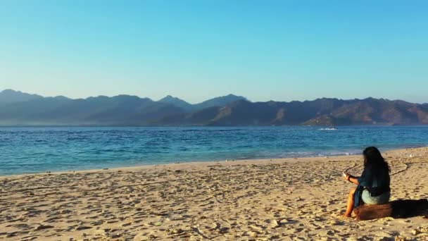 งบนชายหาดทรายในเกาะจาไมก — วีดีโอสต็อก