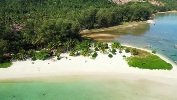 晴れた日の昼間の島のシーン ドミニカ共和国 カリブ海のエキゾチックな自然 — ストック動画