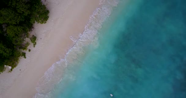 Praia Tropical Com Areia Branca Águas Cristalinas Incríveis Jamaica Caribe — Vídeo de Stock