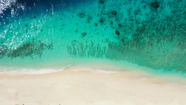 Widok Spokojne Wybrzeże Letnia Podróż Antigui — Wideo stockowe