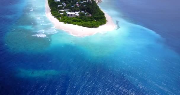 Tenang Pemandangan Tepi Laut Bahama Pemandangan Indah Karibia — Stok Video